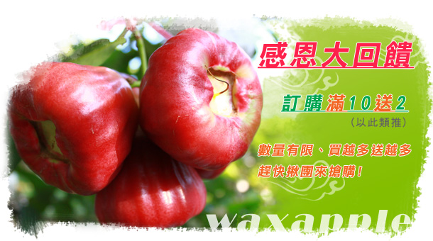 蓮霧王黃進文【感恩大回饋】同商品訂購滿10送2，滿20送4，以此類推，數量有限，趕快揪團來搶購! 