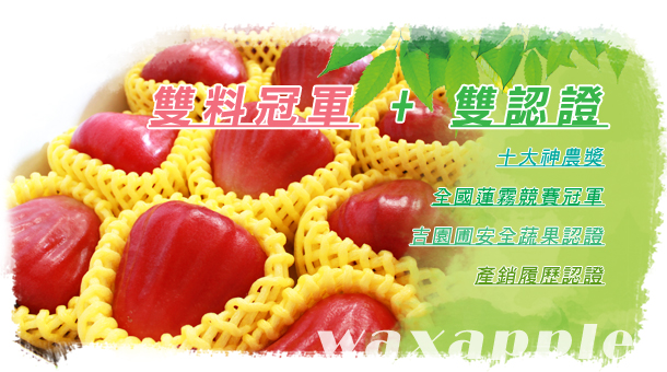 蓮霧王黃進文榮獲雙料冠軍，所栽培的蓮霧榮獲雙認證!!