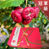 冠軍級 黑珍珠蓮霧