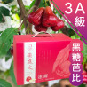 3A級 黑糖芭比蓮霧