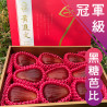 冠軍級 黑糖芭比蓮霧