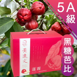 5A級 黑糖芭比蓮霧