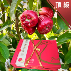 頂級 黑珍珠蓮霧