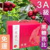 3A級 黑糖芭比蓮霧