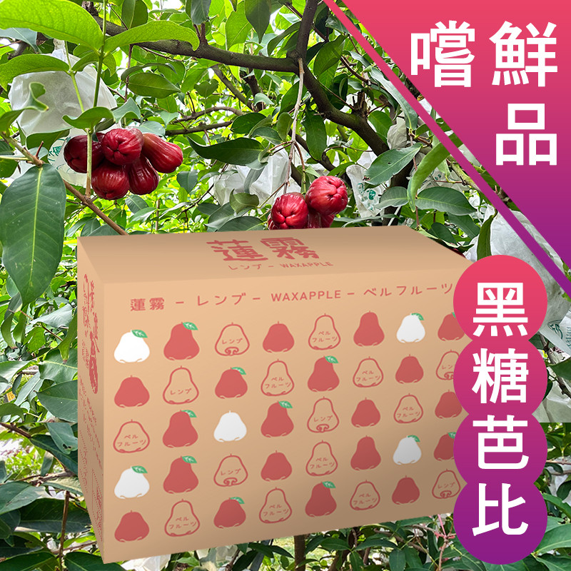 4斤嚐鮮品 黑糖芭比蓮霧