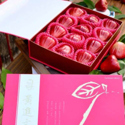 高級 黑珍珠蓮霧