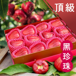 頂級 黑珍珠蓮霧