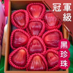冠軍級 黑珍珠蓮霧
