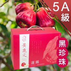 5A級 黑珍珠蓮霧
