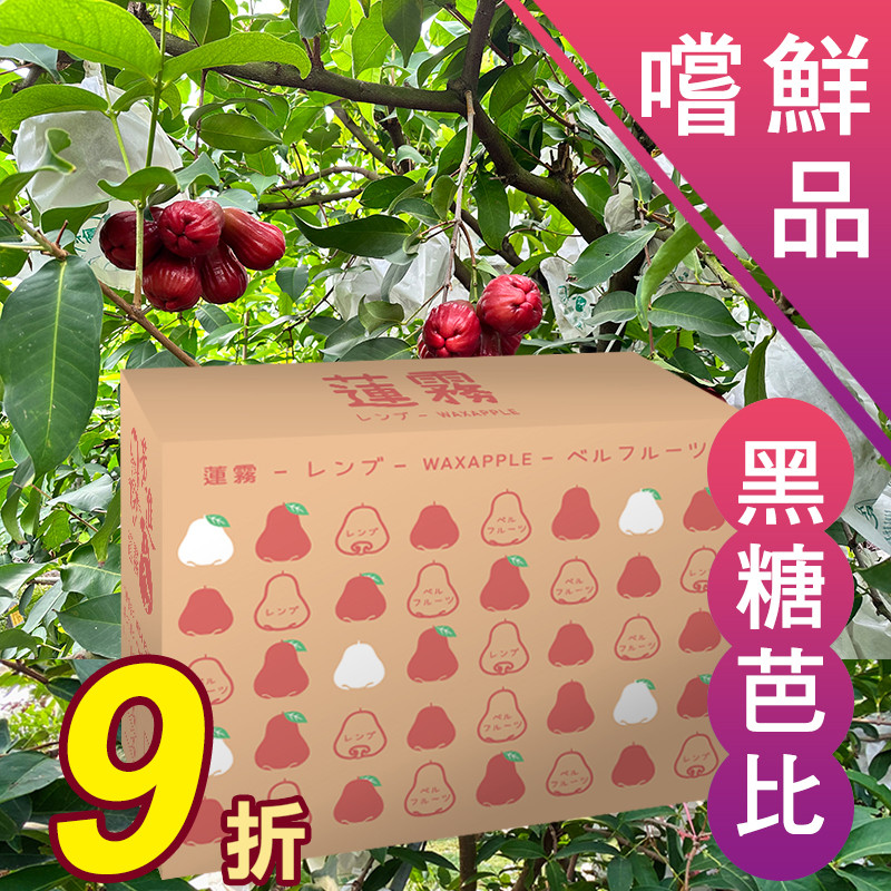 4斤嚐鮮品 黑糖芭比蓮霧