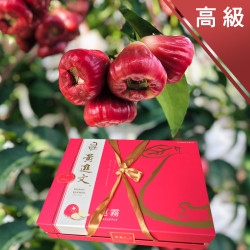 高級 黑珍珠蓮霧