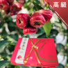 高級 黑珍珠蓮霧