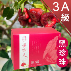 3A級 黑珍珠蓮霧