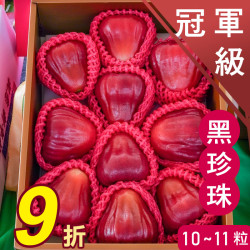 冠軍級 黑珍珠蓮霧