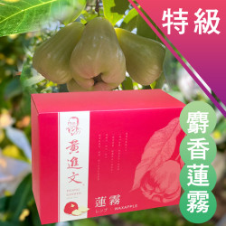 特級 麝香蓮霧（4月底出貨）