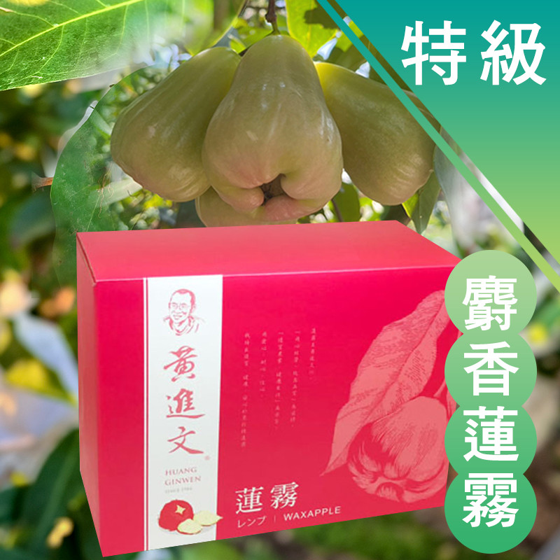 特級 麝香蓮霧（4月底出貨）