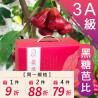 3A級 黑糖芭比蓮霧