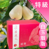 (獨家) 特級 白玉胭脂蓮霧禮盒